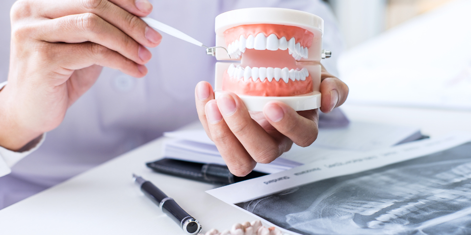 Tooth Surfaces